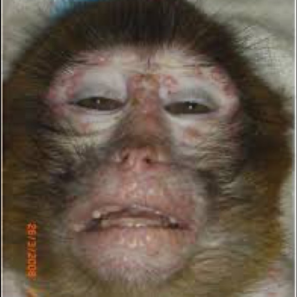 Meet your Posher, Demarco - Picture 1 of 1